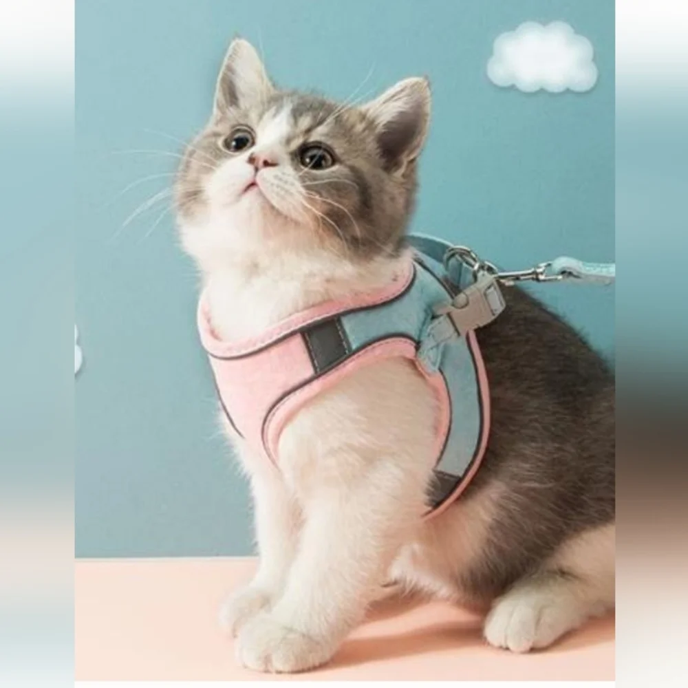 SAN FRENCHIE Cat Pink Harness and Leash size Large